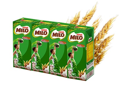 Sữa Milo nước uống liền